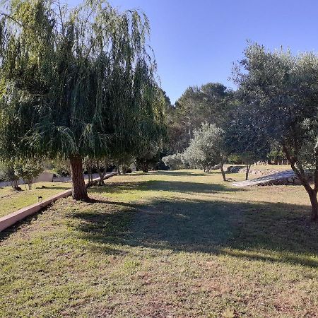 La Bastide Des Selves Bed & Breakfast Draguignan Exterior photo