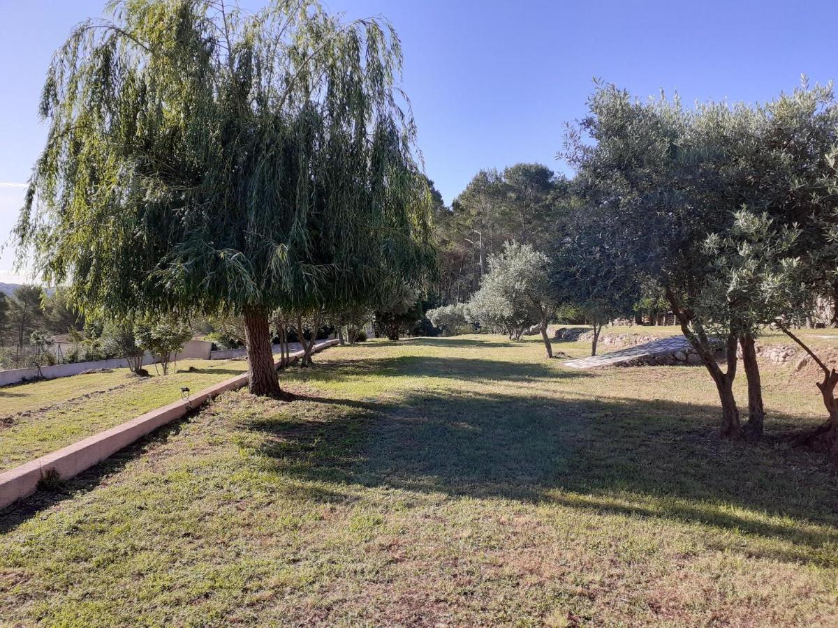 La Bastide Des Selves Bed & Breakfast Draguignan Exterior photo