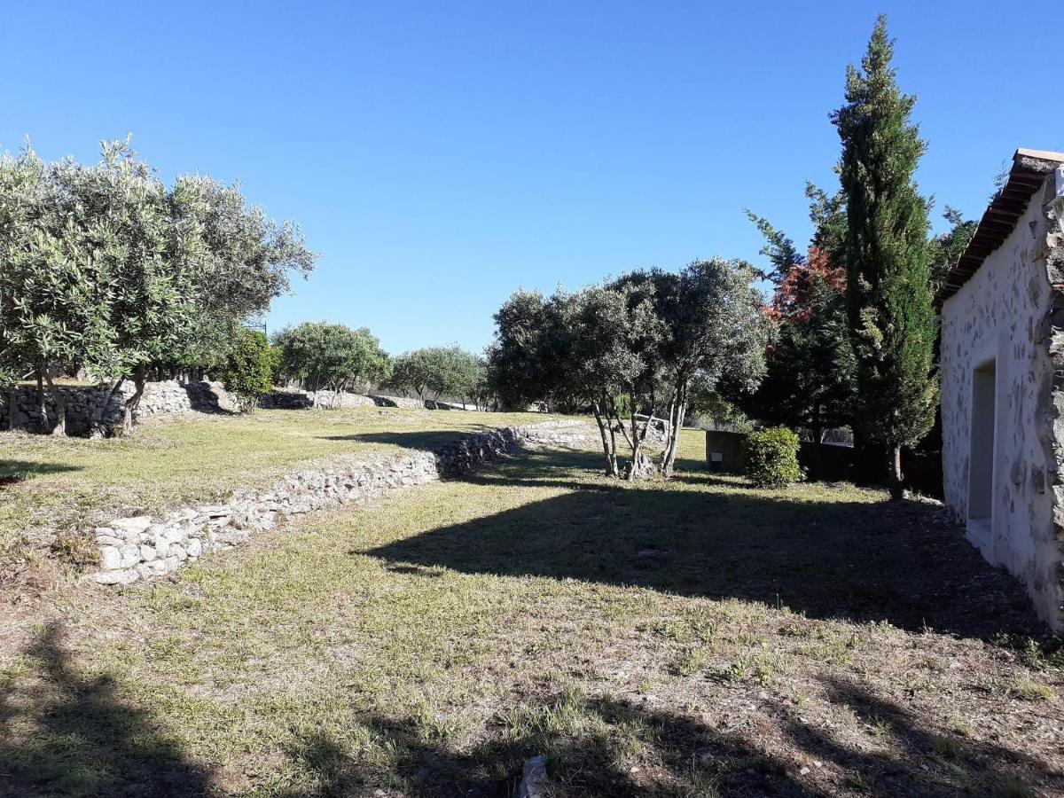 La Bastide Des Selves Bed & Breakfast Draguignan Exterior photo